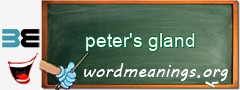 WordMeaning blackboard for peter's gland